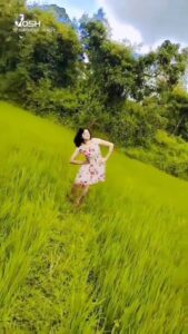 Sukrutha Wagle Instagram - follow me on Josh. Link in bio
#green #farming #agriculture #sukruthawagle