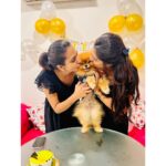 Supritha Instagram - Happy birthday my life❤️🎂 You mean the world to me Happy 4th birthday bangaram 💋 I love you koduku💋❤️