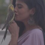 Swagatha S Krishnan Instagram - My pattu . My cockatiel of 11 years passed away day before yesterday 10th September 2022 at 5.30 am. This grief is difficult. Pattu, I know u r watching over amma as i grieve through ur passing. I will miss u my baby , the way u walk on the dining table to eat from my plate. I will miss scratching ur head, hearing u imitate my hello s, coughs and whistles. i am so proud of u Pattu. I use to show ur skills off like that proud mum. Ur voice s still alive my pattu. I can still hear u. Amma is weeping thinking of you. Just struggled my way to sing these lines for u my darling baby. Fly high my baby. Im sure u r already excited for ur next adventure. I pray to god that i find comfort in the fact that you will never be forgotten . Rest well my baby . Will Miss u. Muuah ♥️ மார்பில் ஊரும் உயிரே .. என் தெய்வம் தந்த “பட்டு” பூ !