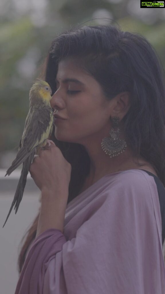 Swagatha S Krishnan Instagram - My pattu . My cockatiel of 11 years passed away day before yesterday 10th September 2022 at 5.30 am. This grief is difficult. Pattu, I know u r watching over amma as i grieve through ur passing. I will miss u my baby , the way u walk on the dining table to eat from my plate. I will miss scratching ur head, hearing u imitate my hello s, coughs and whistles. i am so proud of u Pattu. I use to show ur skills off like that proud mum. Ur voice s still alive my pattu. I can still hear u. Amma is weeping thinking of you. Just struggled my way to sing these lines for u my darling baby. Fly high my baby. Im sure u r already excited for ur next adventure. I pray to god that i find comfort in the fact that you will never be forgotten . Rest well my baby . Will Miss u. Muuah ♥ மார்பில் ஊரும் உயிரே .. என் தெய்வம் தந்த “பட்டு” பூ !