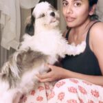 Swagatha S Krishnan Instagram - Late night post dinner insta trends conversations with kadakutti Kanmani 🐶#dogmom #shihtzu #urulakelanguchellakutty
