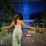 Tanvi Dogra Instagram - When he says “The girl in my story has always been you” ❤️ . . . #lovers #tylorswift #shawnmendes #beautifulairport #changiairportsingapore #jewel Jewel Water fall, Changi Airport, Singapore