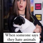 Aishwarya Sakhuja Instagram - Sorry. Not sorry but you have been blocked 🚫 . . #reels #dafahojao #trendingreels #animallover #reelsinstagram #reelkarofeelkaro #aishwaryasakhuja
