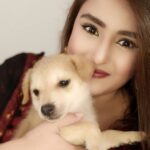 Akanksha Awasthi Instagram - PLZZZZZ Adopt stray dogs 🐕 I love Indi 🐕 I love my India 🇮🇳 I love my Indian breed You must have a indi dog in your house 💕 You'll be lucky to have them trust me❤😍