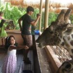 Ananya Agarwal Instagram - swipe to go back in time🕰️ Safari World