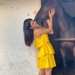 Ananya Rao Instagram - Fell in love all over again♥️ #priorities #love #new #horselove #pretty #strong #alive #love #happymood #peaceful #beauty #beautiful #feelingblessed #ananya #feltpretty #southindiangirls #south #indiangirls #india #instagram #instagood #instadaily #soul #glow #horse #ananya #twins Madras Race Club Race Park