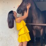 Ananya Rao Instagram - Fell in love all over again♥️ #priorities #love #new #horselove #pretty #strong #alive #love #happymood #peaceful #beauty #beautiful #feelingblessed #ananya #feltpretty #southindiangirls #south #indiangirls #india #instagram #instagood #instadaily #soul #glow #horse #ananya #twins Madras Race Club Race Park