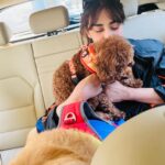 Angela Krislinzki Instagram - Cuddles 🐾