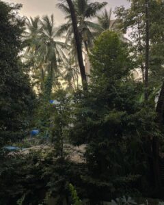 Anisha Victor Instagram - I love looking out of the window… I could do it for hours.. and it may seem like a colossal waste of time to many but it brings me peace. A short meaningful pause in the chaos of the city( same AQI but still helps).
I’m running at hundred miles per hour… okay not literally 100 miles/hour but you get the picture. The path is uneven, might even hit my toe against a rock sticking out of the ground, the coconut just about hanging on to its last fibre misses you by a second or maybe not, a gust of wind brings with it some sand ready to make my eye a temporary habitat (and if it has to be… let it be my left eye God! I use the right one to shoot). The little insect aims straight for the eyes or the nose or the mouth and that’s my first meal of the day. The little pebble… a teeny tiny microscopic pebble in my shoe! Do not underestimate it. You know the feeling right! It’s not exactly an itch you can’t scratch…you can take off your shoe and ….well just scratch your foot and take the invincible pebble out but wouldn’t it be nice to go just one day without that happening.
The crow pooped on my shirt but I’m still running because at least it didn’t get my hair this time, no reason for me to stop now when some detergent and water can take care of it later. And of course you’re going to encounter a curve ball… and I’m not taking metaphorically here;an actual curve ball. Well, what was I expecting…I’m on a track in a Cricket field. But I keep running. I see my smartwatch and I stop to quench my thirst. Luckily I have a bottle of sweet sweet water on me. Now back to running again…and if you still think it’s about running… The water bottle is the window. 🪟 Fin.