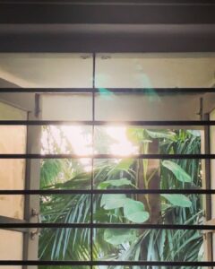 Anisha Victor Instagram - I love looking out of the window… I could do it for hours.. and it may seem like a colossal waste of time to many but it brings me peace. A short meaningful pause in the chaos of the city( same AQI but still helps).
I’m running at hundred miles per hour… okay not literally 100 miles/hour but you get the picture. The path is uneven, might even hit my toe against a rock sticking out of the ground, the coconut just about hanging on to its last fibre misses you by a second or maybe not, a gust of wind brings with it some sand ready to make my eye a temporary habitat (and if it has to be… let it be my left eye God! I use the right one to shoot). The little insect aims straight for the eyes or the nose or the mouth and that’s my first meal of the day. The little pebble… a teeny tiny microscopic pebble in my shoe! Do not underestimate it. You know the feeling right! It’s not exactly an itch you can’t scratch…you can take off your shoe and ….well just scratch your foot and take the invincible pebble out but wouldn’t it be nice to go just one day without that happening.
The crow pooped on my shirt but I’m still running because at least it didn’t get my hair this time, no reason for me to stop now when some detergent and water can take care of it later. And of course you’re going to encounter a curve ball… and I’m not taking metaphorically here;an actual curve ball. Well, what was I expecting…I’m on a track in a Cricket field. But I keep running. I see my smartwatch and I stop to quench my thirst. Luckily I have a bottle of sweet sweet water on me. Now back to running again…and if you still think it’s about running… The water bottle is the window. 🪟 Fin.