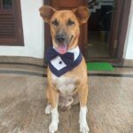 Anna Rajan Instagram - My birthday boy #whito. Love you so much my baby , you makes my heart smile and my eyes shine😜. #whito tq dadybeee for my giftsss love youuu