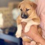 Anna Rajan Instagram - My birthday boy #whito. Love you so much my baby , you makes my heart smile and my eyes shine😜. #whito tq dadybeee for my giftsss love youuu