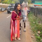 Anna Rajan Instagram - She is soo sweet&pavaam horsyy🥰🐎 #horse #pony #cutepony #cutehorse #whitehorse #love Ettumanoor, India
