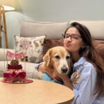 Anushka Sen Instagram - Happy Birthday to you Cindra!! I’m so blessed to have you, my lil angel. You are the biggest example of unconditional love. I am so grateful to have you my lil baby sis, you make everything so special and just even your adorable presence makes my heart happy. I love you so much. 🥹🐶🧿🤗