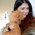 Arishfa Khan Instagram – My babies❤️🐾 #catsofinstagram

Cats name : oreo, mowgli, mimi and lily 💕