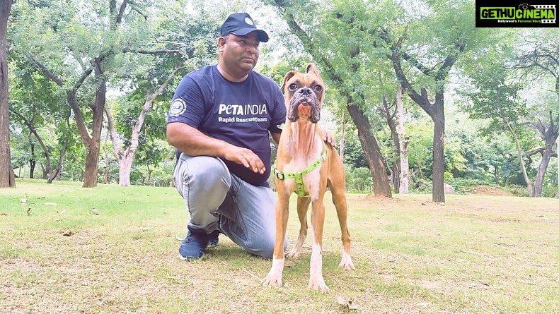 Arti Singh Instagram - *Help Boxer Find a Permanent Home* Meet the newest rescued member of the PETA India family, Boxer. This dog was kept tied on a short leash in extremely unhealthy conditions. He was fed only one meal a day and deprived of love and affection. When a kind person heard him crying and contacted PETA India, our team acted quickly and rescued him. He is now sterilised and vaccinated. This super-friendly dog is ready to be adopted. Please help us spread the word by forwarding this message to anyone you think may be interested in adopting Boxer so that he can find the loving home he deserves. PETA India is willing to transport Boxer to a location within driving distance of or a one-day train journey from Delhi at our own expense. For more information or to express interest in adopting Boxer, please e-mail *DeepakC@petaindia.org*. @petaindia