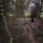 Divya Prabha Instagram - 🍂🍃 Somewhere On Earth :)