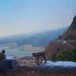 Divya Prabha Instagram -