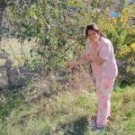 Falguni Rajani Instagram - . . .plucking fruits from the trees is like a dream come true Capadoccia🇹🇷 #türkiye #göreme #capadoccia #solotraveller #nomadlife #backpackerslife #viralreels Göreme, Cappadocia, Turkey