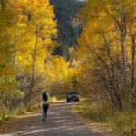 Harika Narayan Instagram - October🍁 . . . #fallcolors #firstexperience #colorado #natureatitsbest #traveldiaries #octoberbaby #harikanarayan Colorado, USA