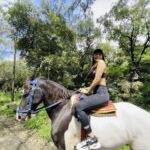 Heena Achhra Instagram - I will ride,🏇 I will fly,🧚‍♀️ Chase the wind & touch the sky..💖💞💫💫 . . . . . . . . . . . . . . . . . . . . . . . . . . . . . . . . . . . . . . . . .. . . . . . . . . . . . . . . . . . . . . . . . . . . #heerachhra #teluguactress #telugumovie #telugucrush #tollywood #kollywood #tamilactress #beautyshot #ahmedabad_instagram #ig_culcutta #horse #horseride #sports #riding #horseriding