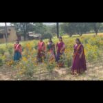 Ishika Singh Instagram - Glimpse from the recent shoot in farms #actorslife🎬 #actorslife #actorattfi #actorlife🎬🎥 #shooting #shootingday📸