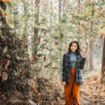 Janki Bodiwala Instagram - Ye Dil Be Pervah🍂 . Styled by - @khushaliee Capture by - @theabhivalera Hmu:- @nidhi.mardia Ring - @one_nought_one_one