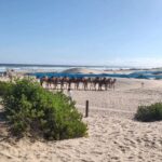 Jinal Belani Instagram - #annabay @sand_dune_safaris