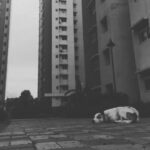 Jovika vijaykumar Instagram - B&W picture show