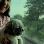 Kajal Raghwani Instagram - My life love cutie ☘️🧿✨♥️ Honey’s First journey by train 🚂 & honey loved it chook chook gadi🥰