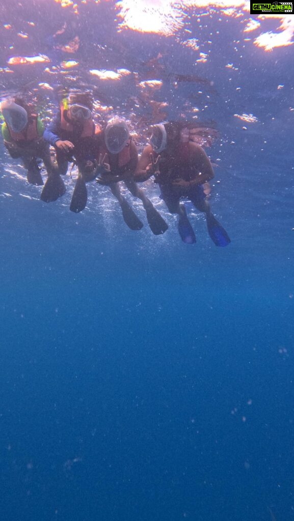 Kanchi Kaul Instagram - When we suddenly came across a shark point, which were filled with hundreds of friendly but massive (20ft )nurse sharks , of course we had to jump in!!!! No second guesses here , the littles jumped in before us🤪🤪 💖💖 every time I go under, It’s always a gateway to Paradise. It was exhilarating and surreal. All at once. There was so many that they kept banging into us as well. Just witnessing their graceful movements and observing their behaviour up close as we glided alongside them. It was thrilling and peaceful at the same time . The boys and me couldn’t have been more grateful. Such a privelege to be amongst them .. #epic #theadventuresofAI #nursesharks #mothernature #southmaleatoll 🦈🦈🦈 #reelsinstagram #gadgetfreechildhood #loveisallweneed