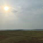Kasthuri Shankar Instagram - Alone. #travel #naturelover #tadobaandharitigerreserve