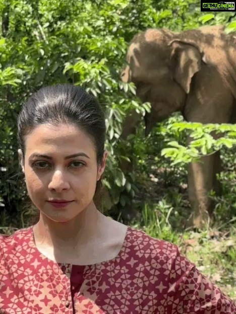 Koel Mallick Instagram - Our planet, our jungle, our elephants. We will save them... 🌎🐘 Mitin Mashi bouncing back... this Pujo... #JongoleMitinMashi @yourkoel @subhrajit_dutta13 @bickramghoshofficial @lekhhac @arijitdaduldutta @indraroy29 @dopanirbanchatterjee @hiyalove013 @raychowdhuryashim @rabhisek @camelliafilmsnow #RupaDutta @kakondas