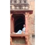 Kyra Dutt Instagram - 🕊 #SocialDistancing Lodi Gardens