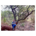 Kyra Dutt Instagram - Another Day, Another Trek! Into the wild! Sitting on a half shaved cork oak tree! This is where the cork on your wine bottle comes from! Salud!🍷🌳