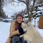 Kyra Dutt Instagram - Winter cuddles with a Changthangi Goat! This is where your Pashmina comes from. The finest quality cashmere from this soft & gentle creature. Shearing is a debatable topic! Even though it can be done ethically, without harming the animal during summers, sometimes these poor babies get hurt & abused!( & sometimes I feel humans don’t deserve animals! Betaab Valley