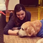 Kyra Dutt Instagram - I’m Loving Memory Of Our Darling Boy #Napoleon❤️ R.I.P Champ!🌹 You will be missed.
