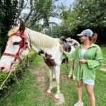 Manvita Kamath Instagram - Ram, the horse,standing tall and proud…radiating an aura of elegance, serenity and grace! 🐴✨ . . . #kodaikanal @greattrailsbygrt