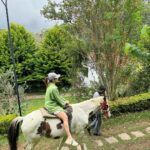 Manvita Kamath Instagram - Ram, the horse,standing tall and proud…radiating an aura of elegance, serenity and grace! 🐴✨ . . . #kodaikanal @greattrailsbygrt