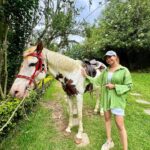 Manvita Kamath Instagram - Ram, the horse,standing tall and proud…radiating an aura of elegance, serenity and grace! 🐴✨ . . . #kodaikanal @greattrailsbygrt