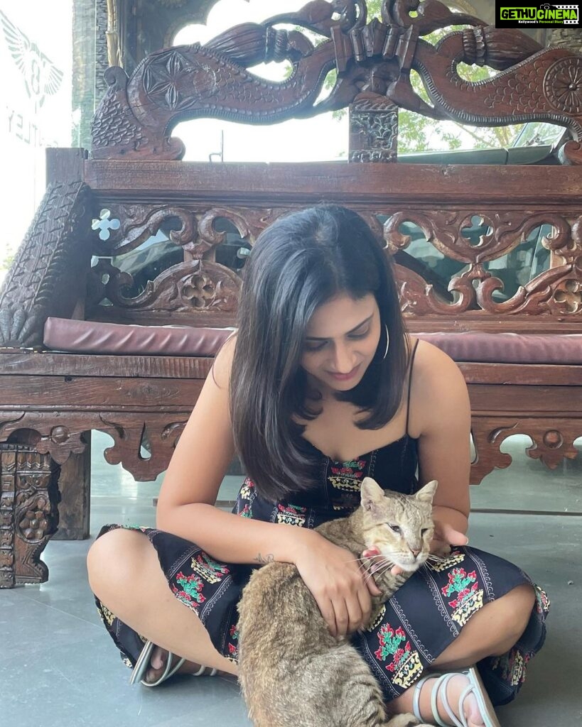 Maulika Patel Instagram - Remembering One of the Best Morning Of My Life With this little Kiddo 🐱🫶🏻 #love #babies #onedaytrip #friendsbirthday #lovelybond #udaipur #happymorning #ilovemyblessedlife💕