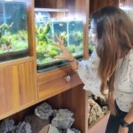 Meghashree Instagram - Must visit @newkingaquarium Contact number: ‪9742786429‬