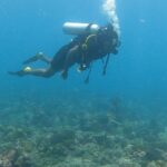 Michael Ajay Instagram - Discover a whole new world underwater with me 🤿 #michaelajay #diving #scuba #maldives #bluewater #underwaterlife #openwaterdiver #travelgram Maldives