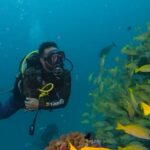 Michael Ajay Instagram - One of the things that has given me the greatest joy in life is introducing the underwater world to my friends and sharing it with them. (Watch the last video!) #manta Over the past two weeks I finally managed to convince @karnrateria @michaelajayofficial @allthingssameer and @ashwin_kulkarni to take the plunge. The are all Open Water Certified divers now - thanks ro @fleetfootadventures! Congratulations guys!! I also reconnected with my buddies @jaypunjabi_ @rohinbachwani @djsanjaydutta @leicagrapher and @carlosdonoso on our amazing Liveaboard trip and made nee friends too! @emma.tolmie @coteugarter @lukamp @catabarra @davesorrellsaunders @cpabloalarcon @emperordivers_ Thank you for making it such a memorable trip for us all!! Mostly, thanks to my buddy, my brother and my underwater guru Nitish aka @fleetfootadventures for making all of this possible! ❤️💯 #Maldives #fleetfootadventures #DiveDiary #Seiko #prospex