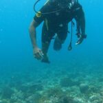 Michael Ajay Instagram - Maldives or should I say malDIVEs! What an adventure !! @nikhilchinapa @fleetfootadventures thanks for the adventures! And @faathi.faathi thanks for the amazing pictures. Day 3 and 4 reels coming soon 🔥 Maafushi Island