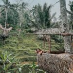 Mitali Mayekar Instagram - Mentally here…🌴✨ #bali #balitrip #travel #travelbug #wanderdontwonder Cretya Ubud