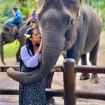 Neetha Ashok Instagram - The kind of hug I need in life 🥰🤗 Meet Baati, female elephant who is 38 years old rescued from Africa now living a happy life in @elephantsbali where they are taken care with all the love and yummy treats and dedicated staff who dedicate their life to take care of these rescued elephants. More power to @elephantsbali ❤️🤗 Mason Elephant Park & Lodge