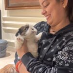 Nidhi Jha Instagram - Welcoming New member at our place “Parle-G “♥️ Thank you baby @yashkumarr12 for tolerating all my Nakraas❤️ I love you the most♥️🧿 #nemonikkuforever🧿❤️