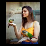 Nimika Ratnakar Instagram - Your wings already exist. All you have to do is fly 👐🏻🕊🦜🦋 Loved shooting for my dear darling friend @makeoverwith_rakshajain @rj_designerstudio😀 Very skilfully captured by the extremely talented @vinu5494 🤗 #photography #trending #trendingnow #trend #model #actor #photoshoot #shootmode #shoot #shooting #nimika #nimikaratnakar #sandalwood #tollywood #kannada #kollywood #bollywood #kannadaactress #heroine #actress #mua #fashion #vogue #neon #birds #parrot #birdsofibstagram #makeup #mua #bangalore #bangalorediaries