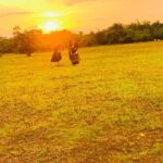 Nithya Das Instagram -